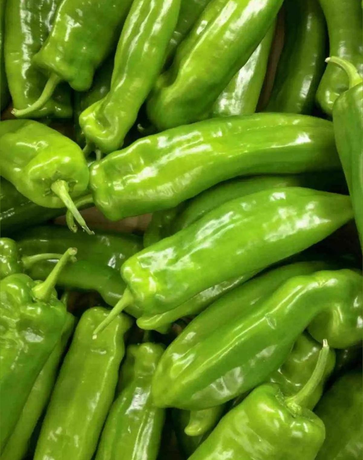 Bajji mirchi