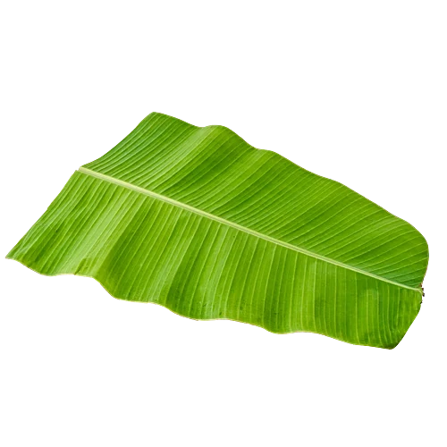 Arati Aakulu (Banana Leaves)
