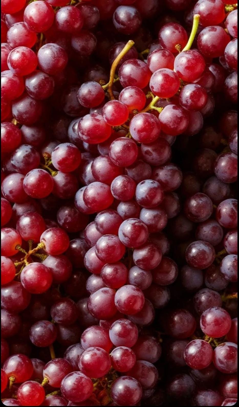 Red Grapes