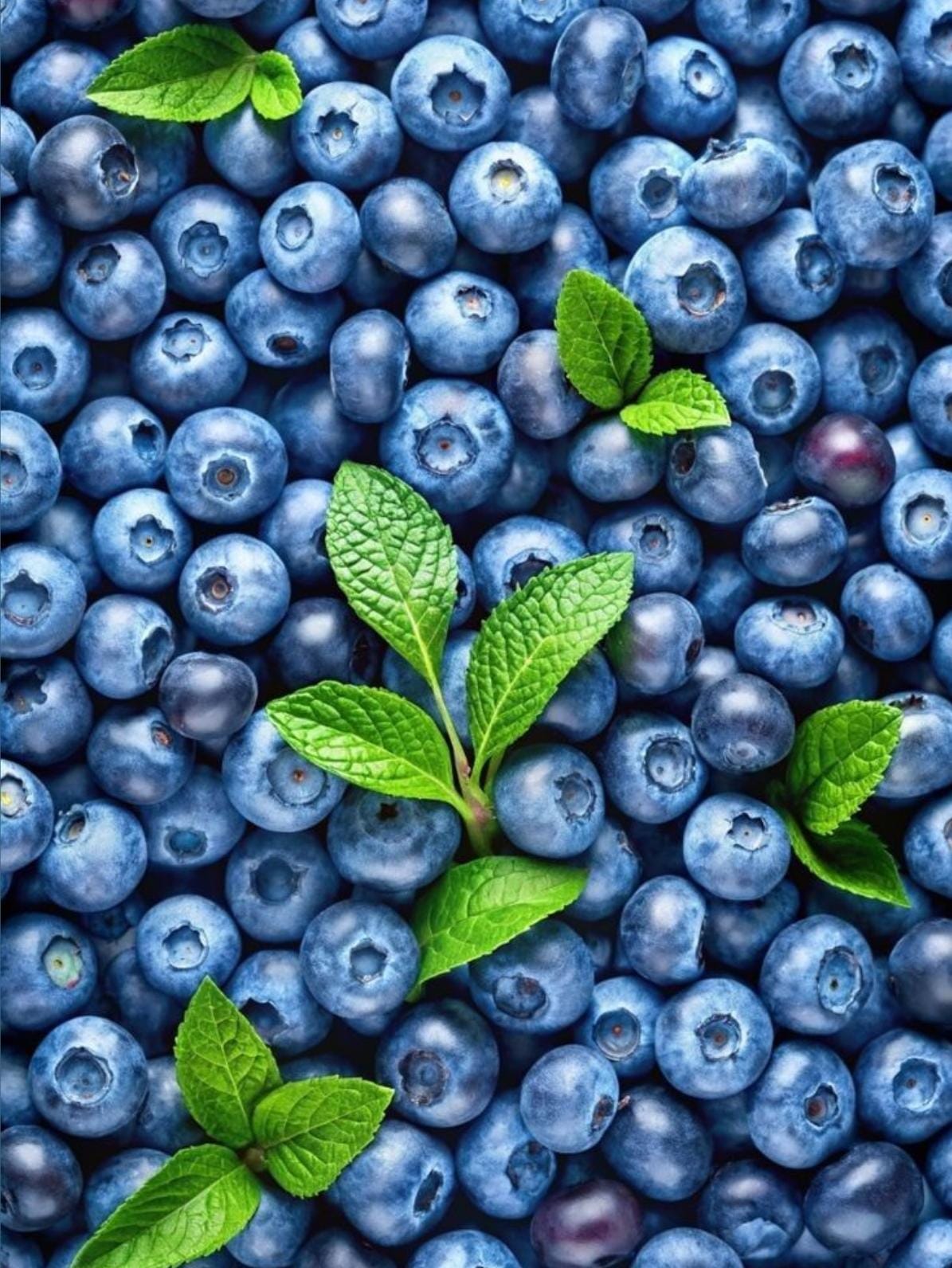 Blueberry